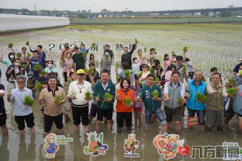 2024屏東熱博插秧喜迎經典泰迪熊登場 千碗免費美味飯湯暖身