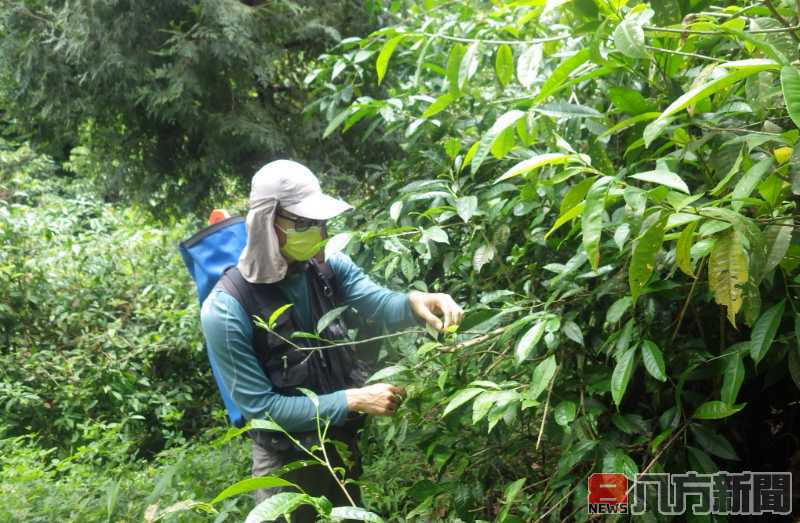 植樹月活動開跑 臺中站獨家送臺灣山茶苗木