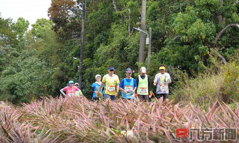 關廟鳳梨吃到飽「2024大亞旺萊馬拉松」31日登場 近7,000人一同跑進旺萊路