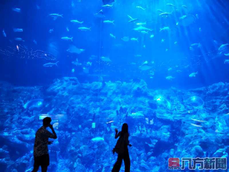 探索海洋奇觀 香港海洋公園的深海之旅