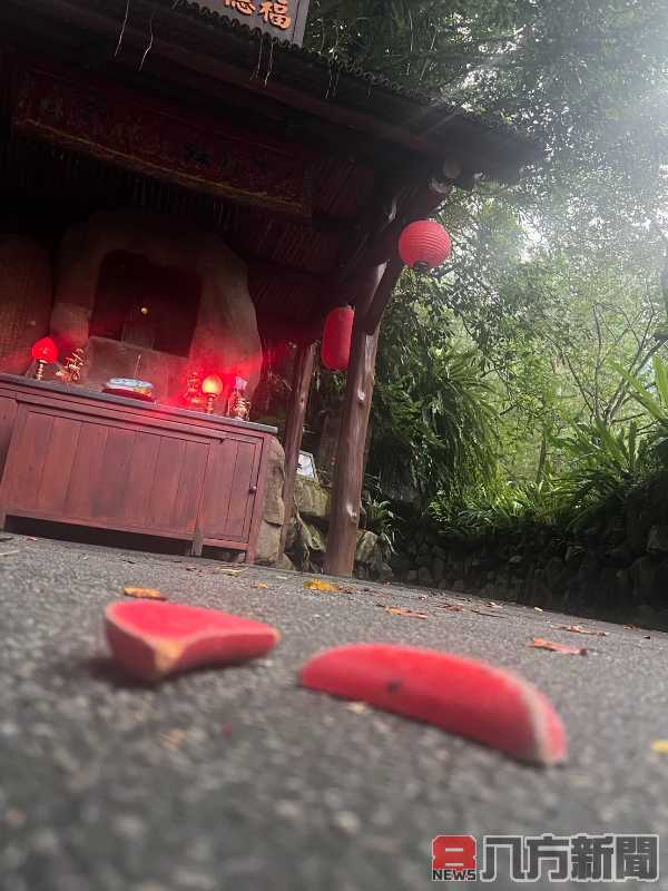 九族文化村推出雙人優惠 為麟洋配奪金加油打氣