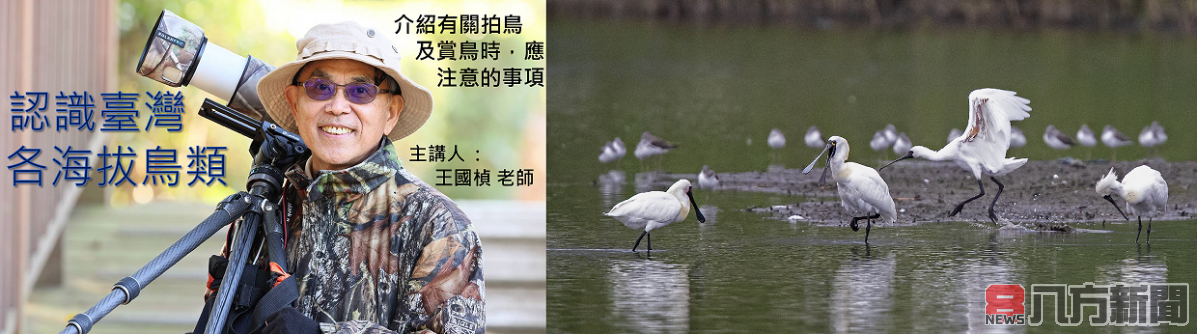 國立臺灣圖書館「群英飛羽2024世界野鳥攝影聯展及講座」展期至0825