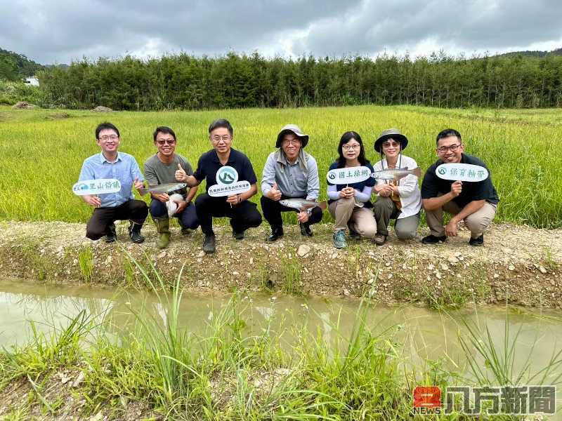攜手社區雙連埤復育衛星濕地 中華青鱂野放重現生命力