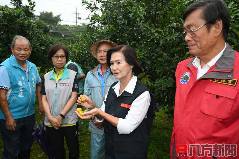 林姿妙縣長視察金柑果園並關心農友