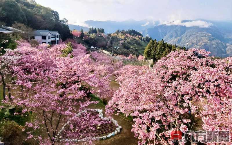 內洞、滿月圓、東眼山、拉拉山、觀霧國家森林遊樂區及烏來台車10月5日恢復營運