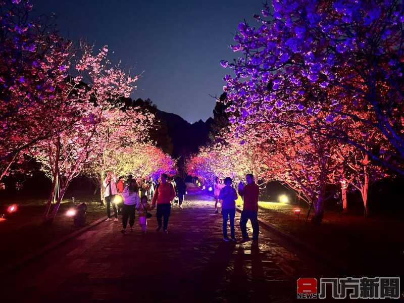 九族文化村2025櫻花祭早鳥票開賣了 春節前限時優惠條件曝光