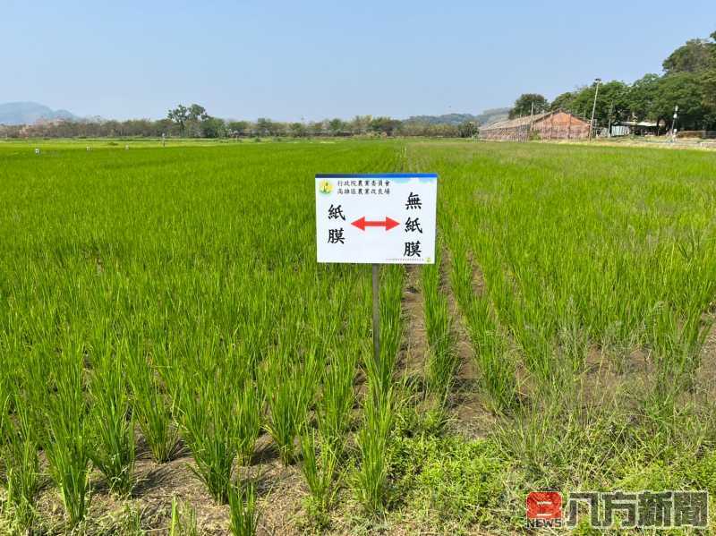 農用紙膜 有機栽培減塑環保新選擇