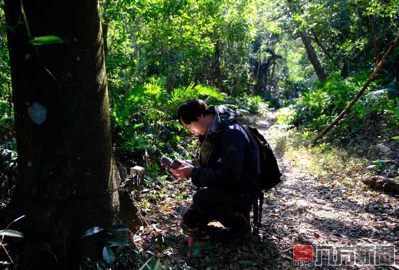 石虎現蹤！邊際土地認養串聯國土綠網守護淺山野生動物的家