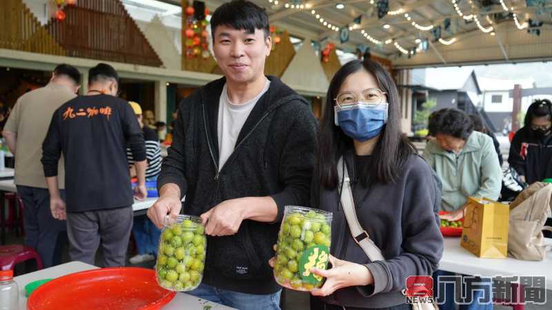 梅子節國姓梅香秘境親子採梅去 共享敲梅、客家餐趣