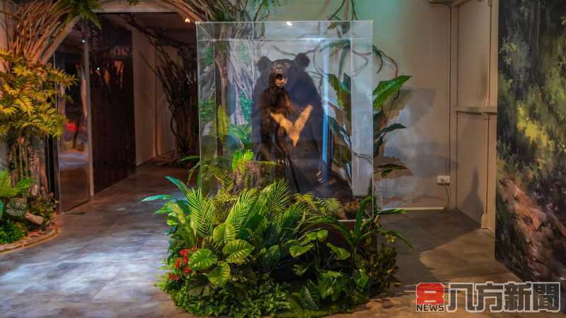 點亮博物館日 宗博館化身靈性遊樂場 解鎖「光」的密碼