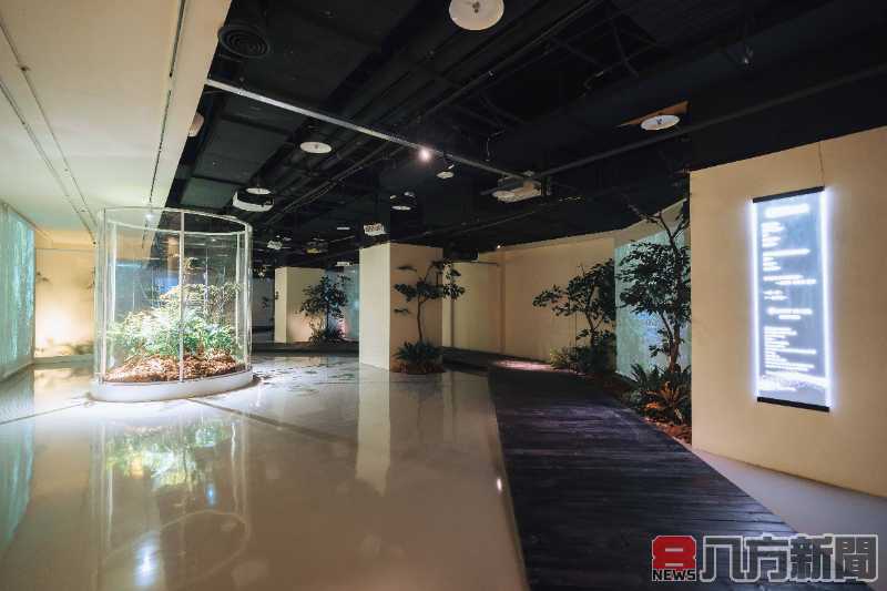 點亮博物館日 宗博館化身靈性遊樂場 解鎖「光」的密碼