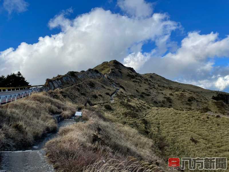 戀夏旅人~愛上合歡 戀戀合歡奧萬大 教師自然生態研習營