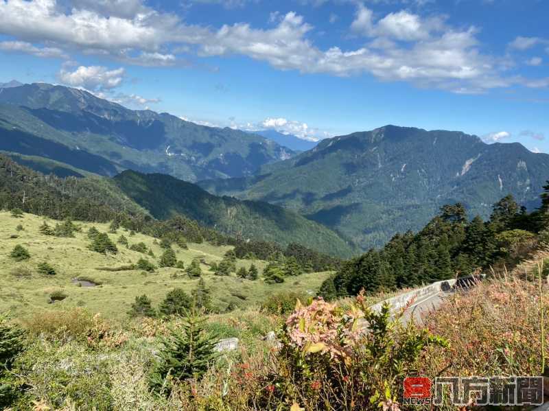 戀夏旅人~愛上合歡 戀戀合歡奧萬大 教師自然生態研習營