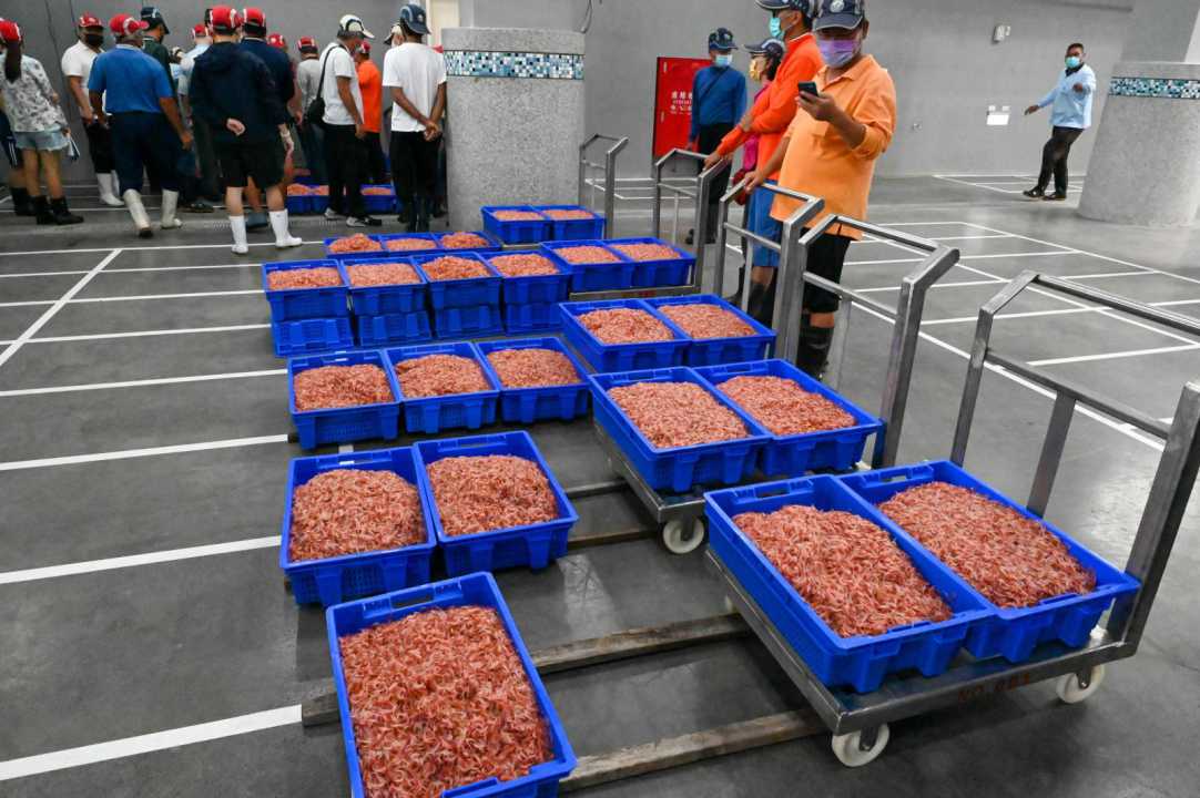 東港櫻花蝦拍賣場通過HACCP 系統驗證 打造現代化拍賣市場新標竿-圖片1