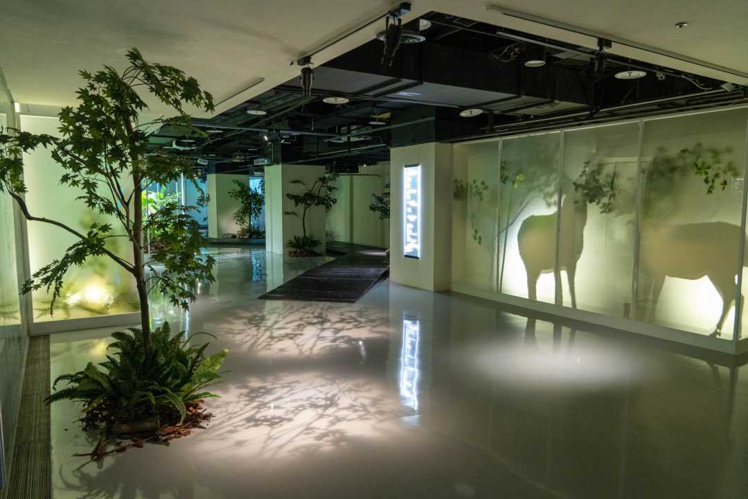 世界宗教博物館獲美國繆思創意獎 靈性生態理念閃耀國際-圖片2